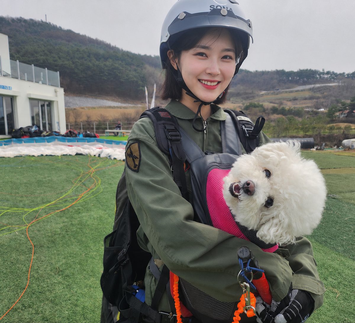 애견동반비행 비행 모습